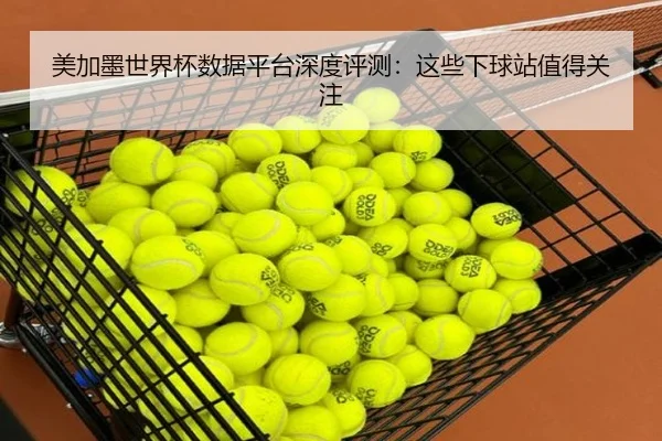 美加墨世界杯数据平台深度评测：这些下球站值得关注（milansports）